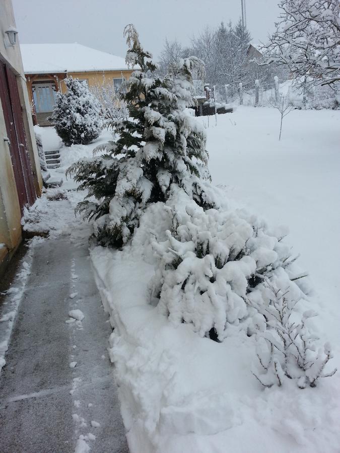 Boroka Vendeghaz Hotel Aggtelek Exterior foto